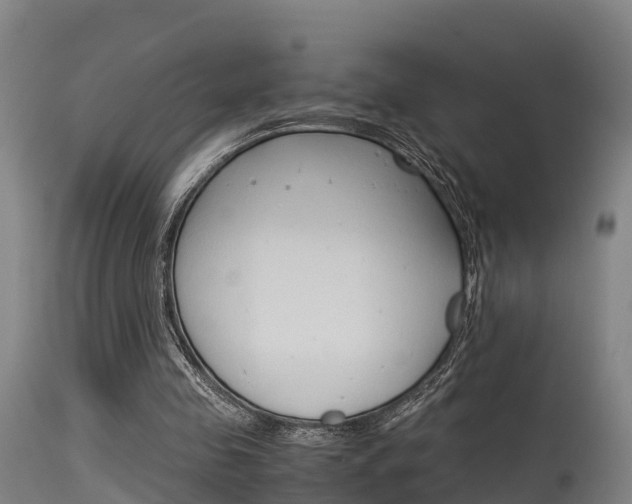 X0000115760341200911131004