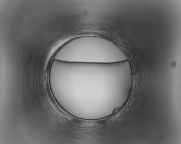 X0000115760342200911131004