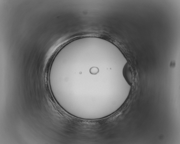 X0000115760343200911131004