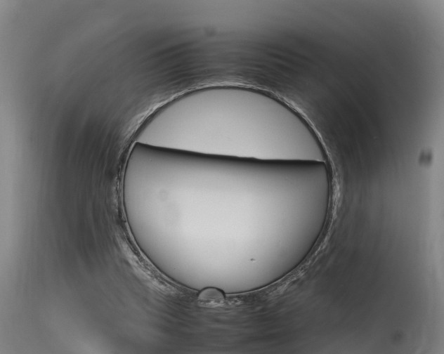 X0000115760345200911131004