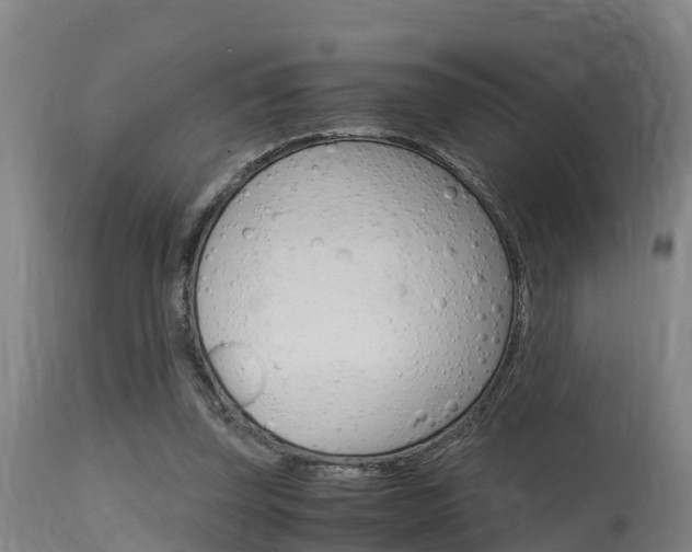 X0000115760347200911131004