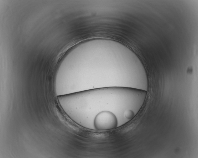 X0000115760349200911131004
