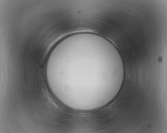 X0000115760350200911131004