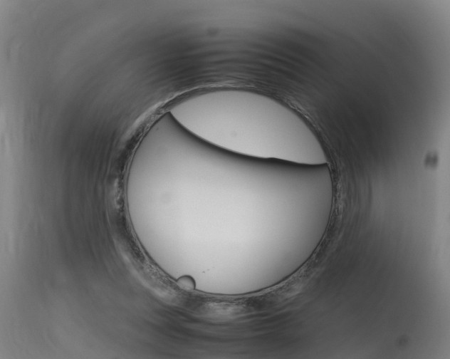 X0000115760351200911131004