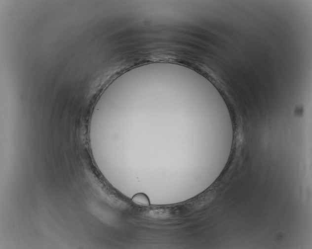 X0000115760353200911131004