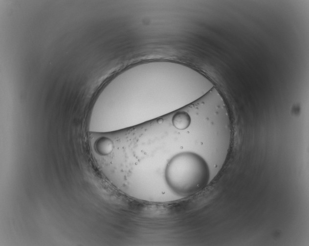 X0000115760354200911131004