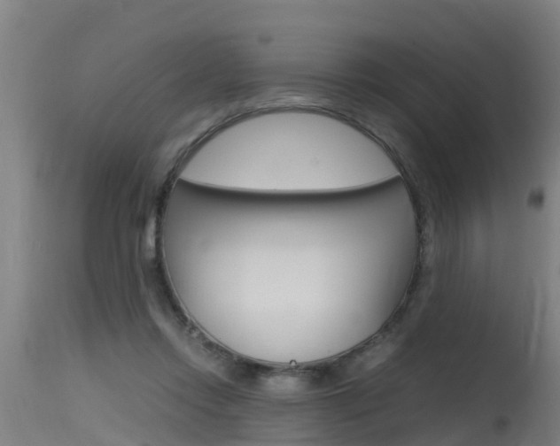 X0000115760358200911131004