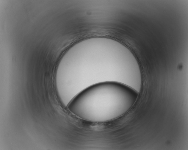 X0000115760362200911131005
