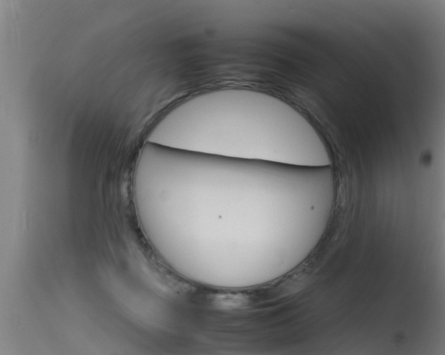 X0000115760363200911131005