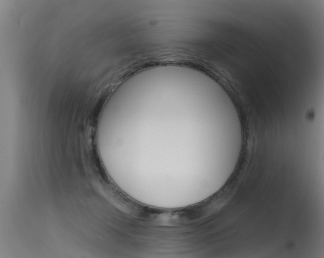 X0000115760366200911131005