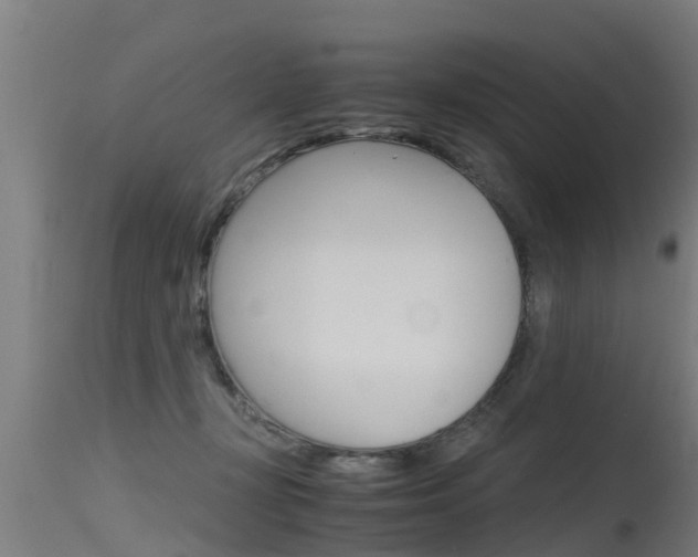 X0000115760367200911131005