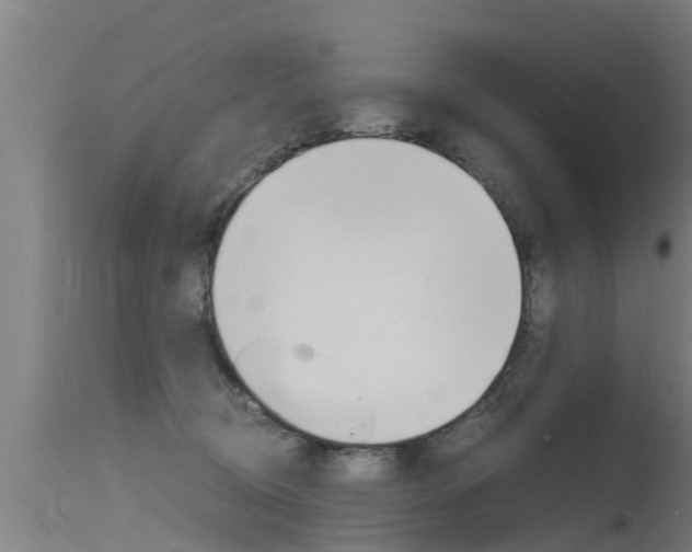 X0000115760370200911131005