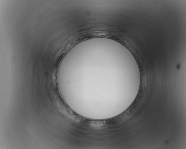 X0000115760373200911131005