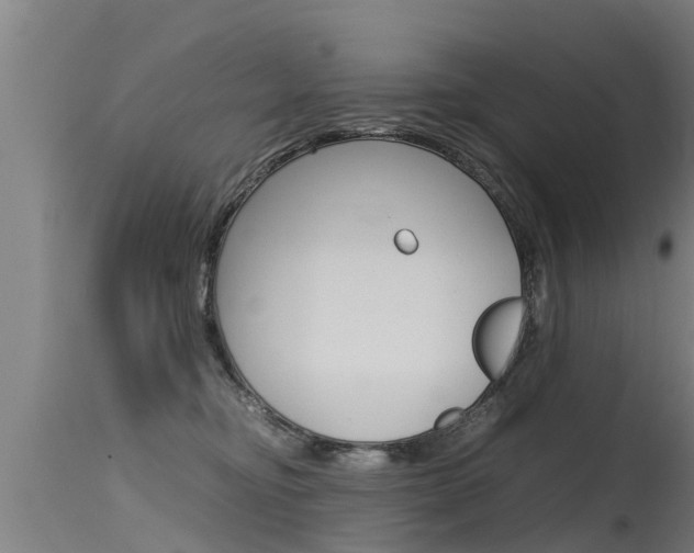 X0000115760374200911131005