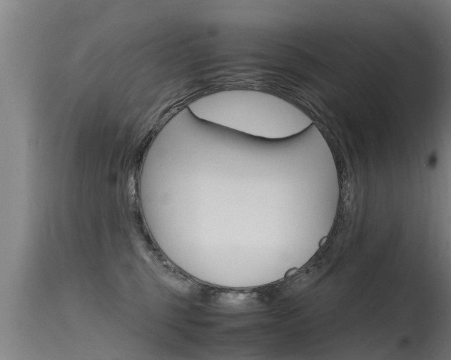 X0000115760375200911131005