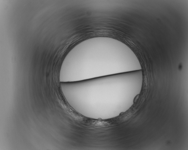 X0000115760379200911131005