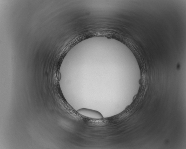 X0000115760381200911131005