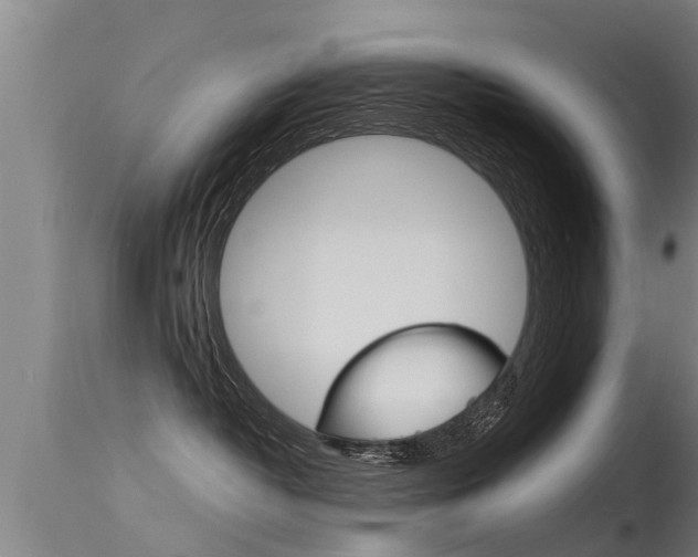 X0000115760382200911131005