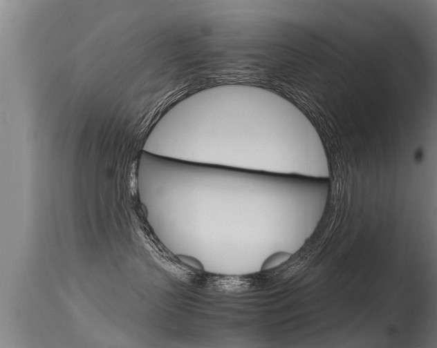 X0000115760383200911131005