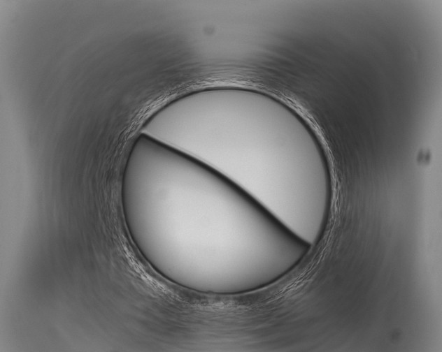 X0000115760385200911131004
