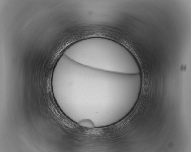 X0000115760386200911131004