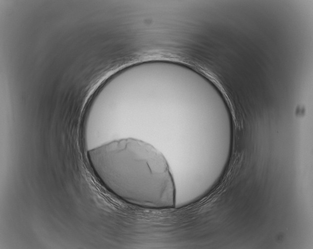 X0000115760387200911131004