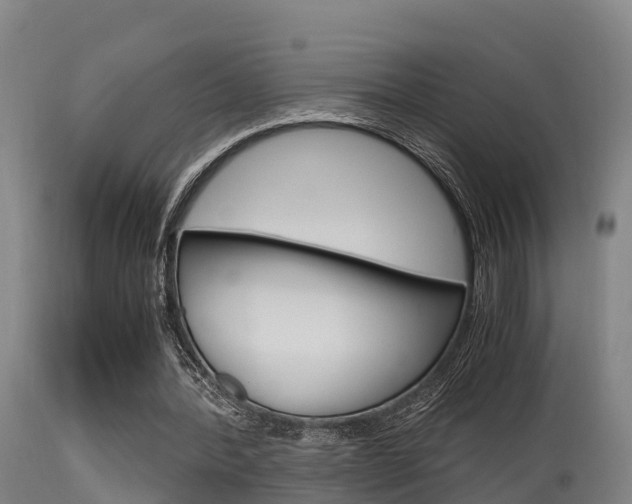 X0000115760388200911131004