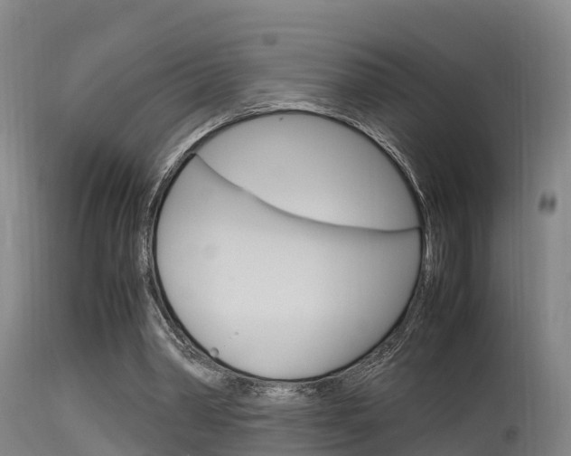 X0000115760390200911131004