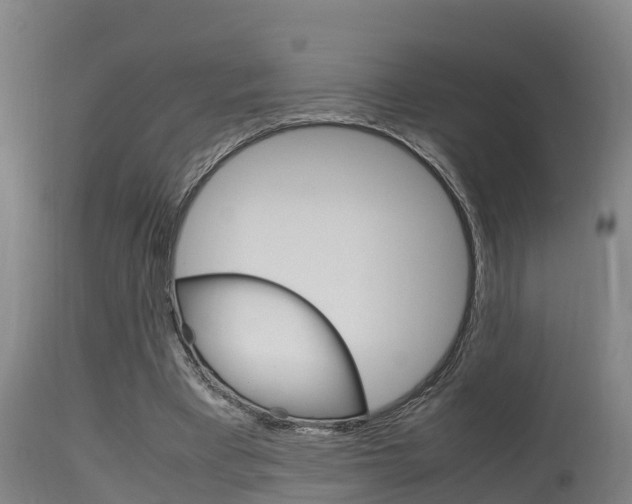 X0000115760393200911131004