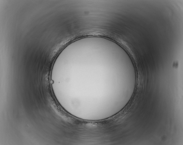 X0000115760394200911131004