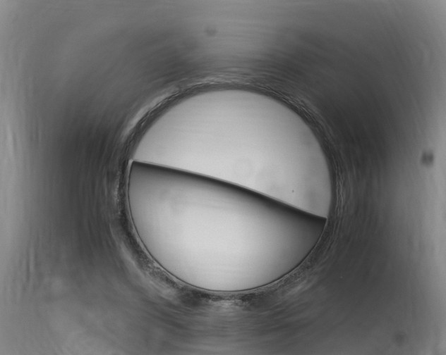 X0000115760396200911131004