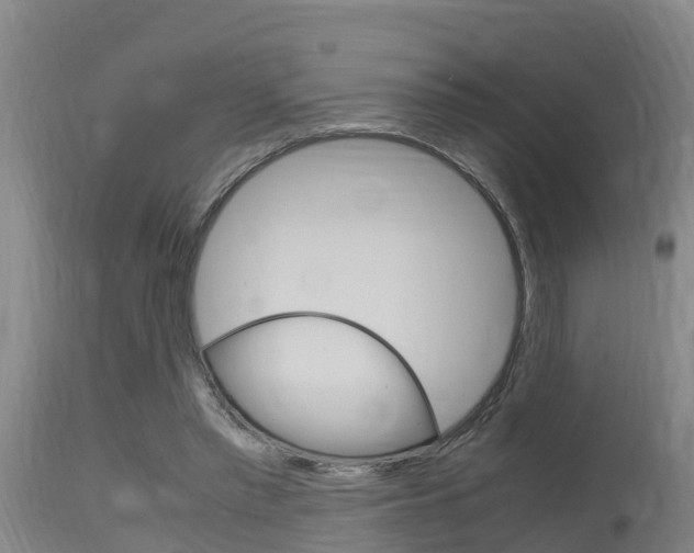 X0000115760397200911131004
