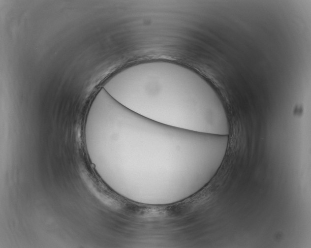 X0000115760398200911131004