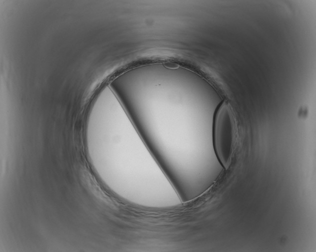 X0000115760399200911131004