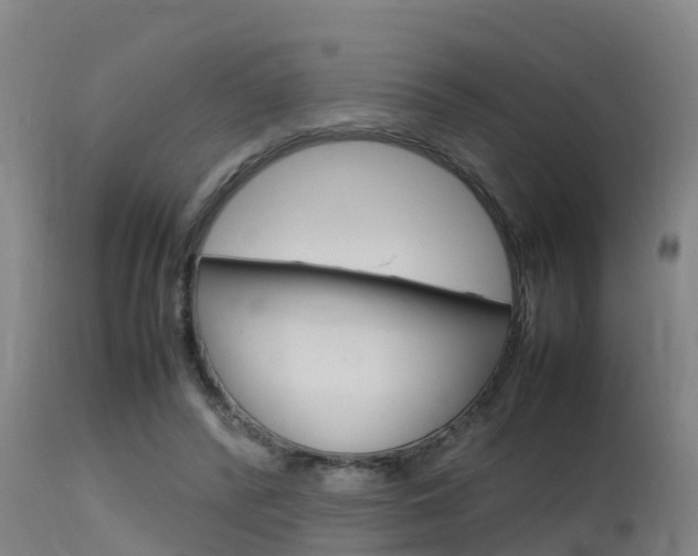 X0000115760400200911131004