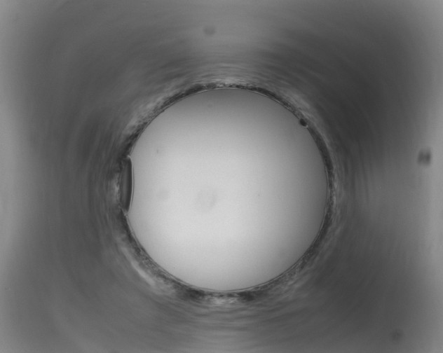 X0000115760401200911131004