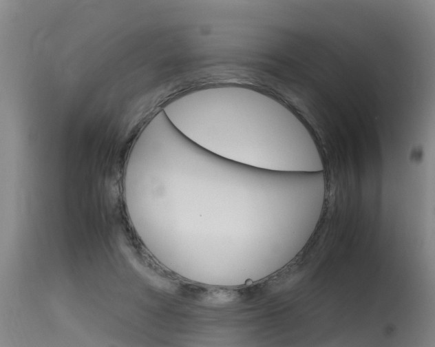 X0000115760402200911131004