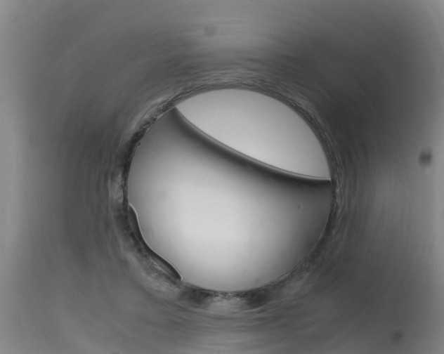 X0000115760403200911131004