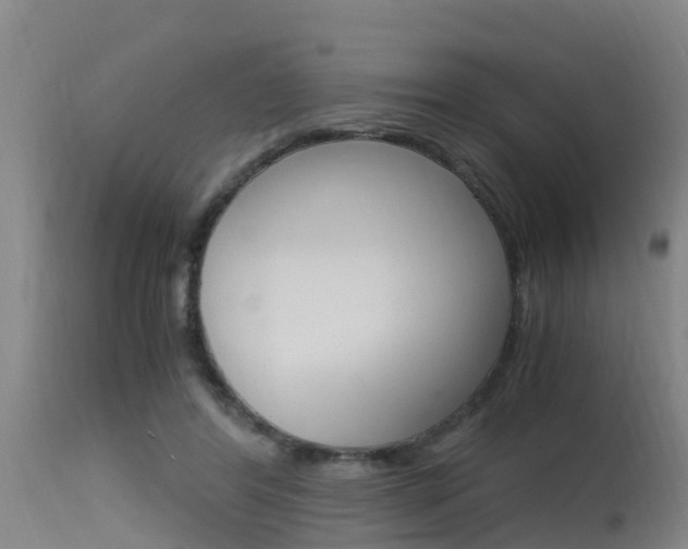 X0000115760404200911131004