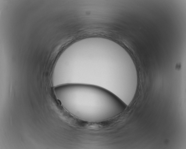X0000115760407200911131004