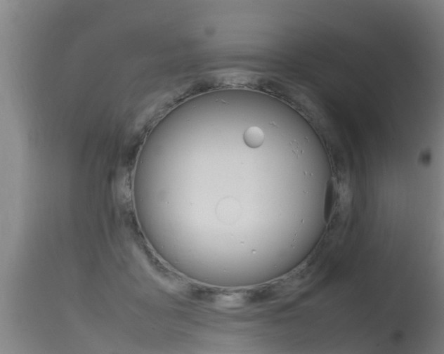 X0000115760411200911131004