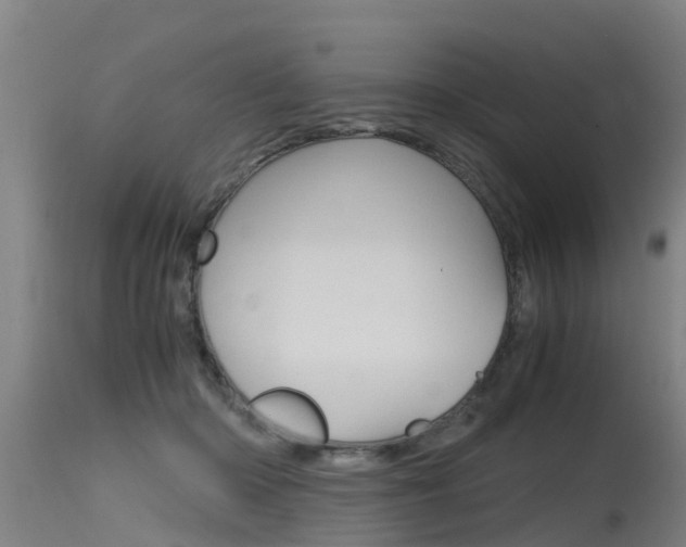 X0000115760414200911131004