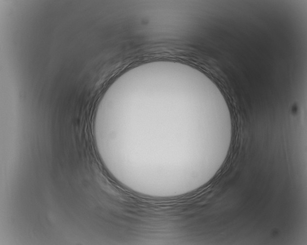 X0000115760419200911131004