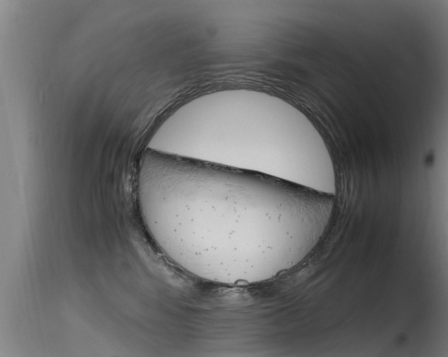 X0000115760424200911131004