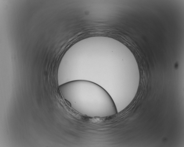 X0000115760425200911131004