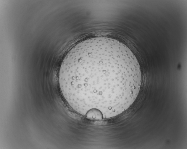X0000115760426200911131004
