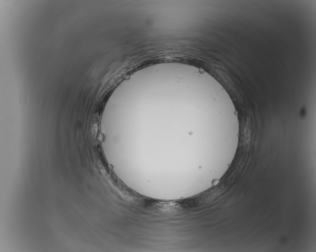 X0000115760427200911131004