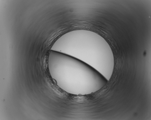 X0000115760428200911131004