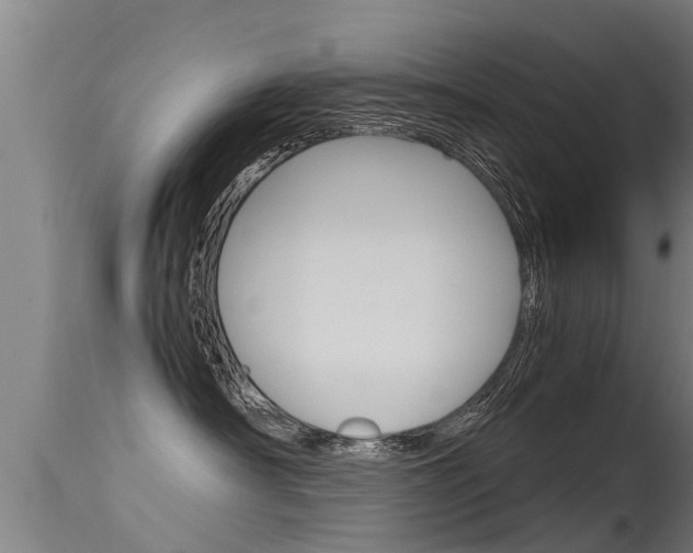 X0000115760430200911131004
