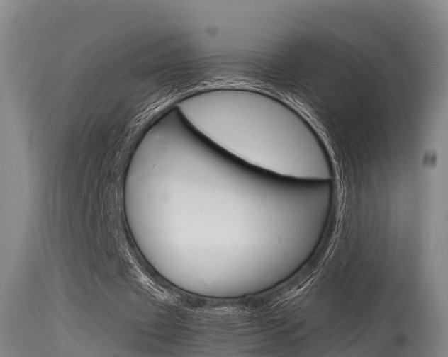 X0000115760433200911131003
